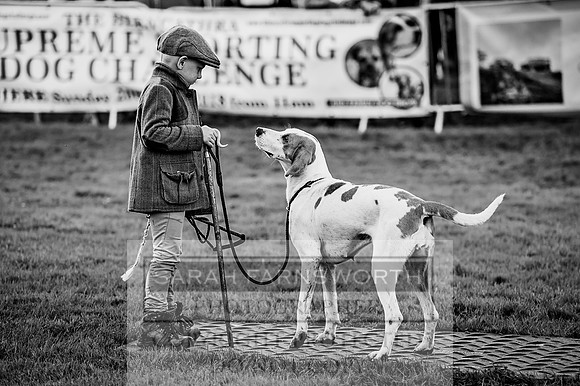 Lowther Hound Show 2017-67