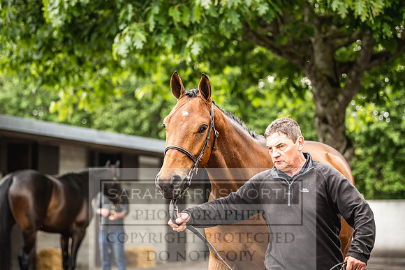 Goffs Land Rover Sale 2022-334