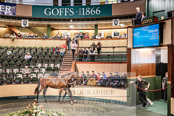 Goffs Land Rover Sale 2022-212