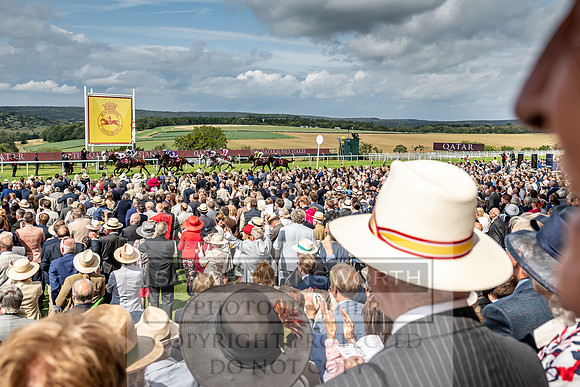 GUK Goodwood Sale 2019-156