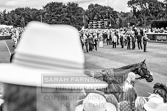 GUK Goodwood Sale 2019-135