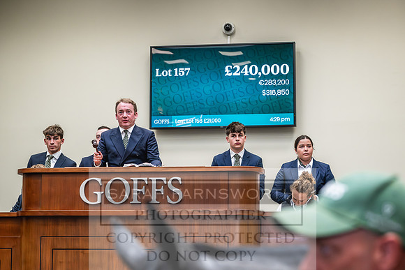 Goffs UK PY24-177