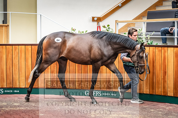 Goffs UK PY24-133