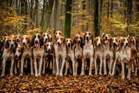 Villers Cotterets Staghounds - 10.11.15