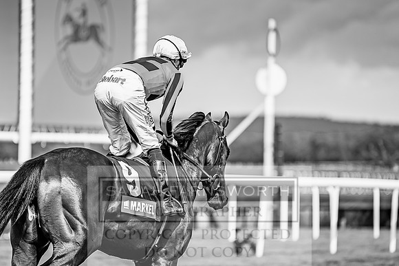 GUK Goodwood Sale 2019-94