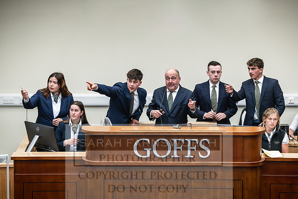 Goffs UK PY24-387