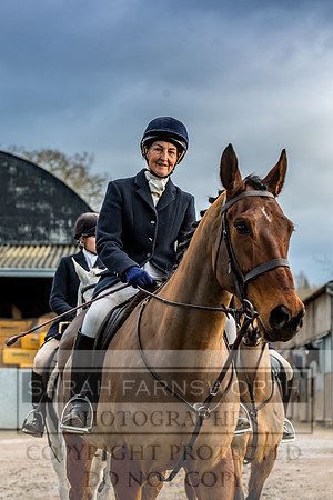 Ledbury 161217-13