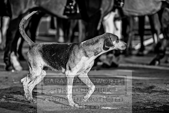 Ledbury 161217-3