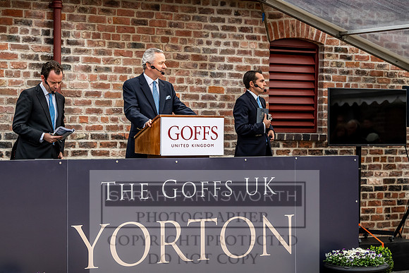 GUK Yorton Sale 2019-271