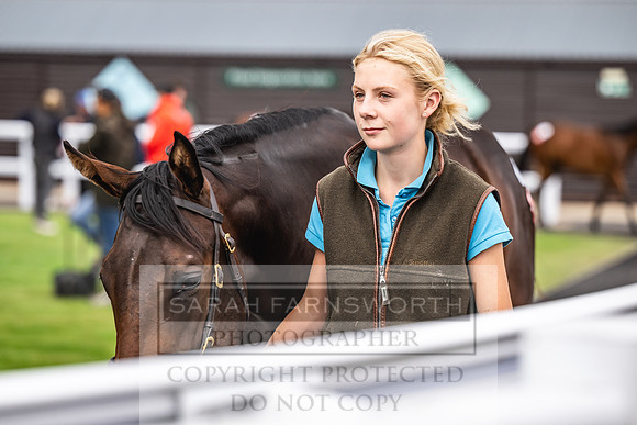 Goffs UK PY24-160