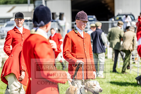 Builth Hound Show 2019-27