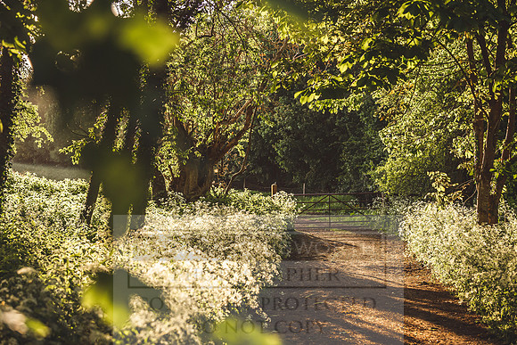 Cotswolds May 2020-8