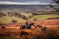 Exmoor Autumn 2020-10