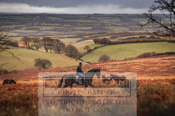 Exmoor Autumn 2020-10