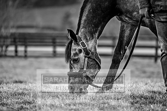 Tweenhills January 2019-97