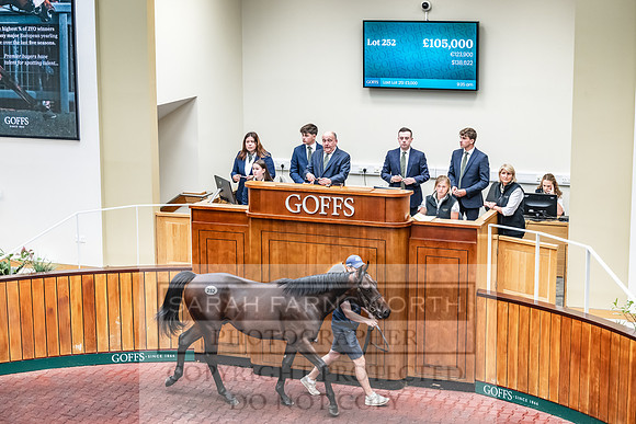 Goffs UK PY24-391