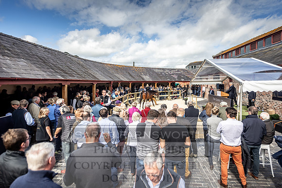 GUK Yorton Sale 2019-379