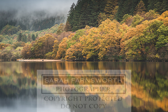 Loch Eck October 2019-17