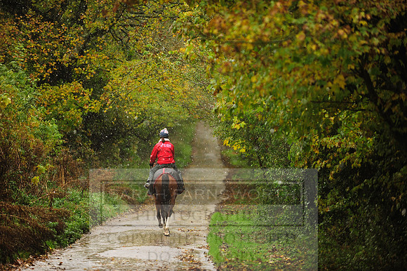 Autumn Snow 025