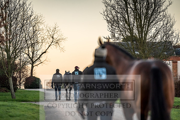 Tweenhills January 2019-47
