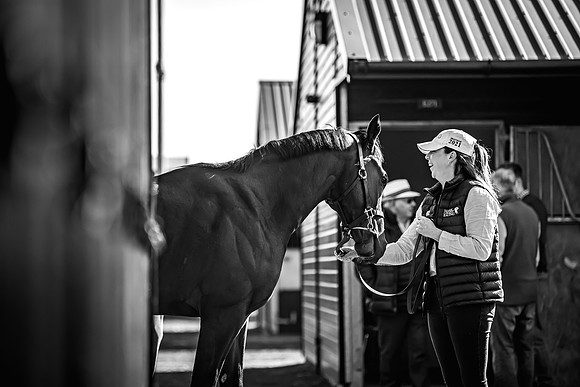 Goffs UK Breeze Up 2022-60