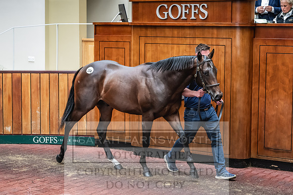 Goffs UK PY24-433
