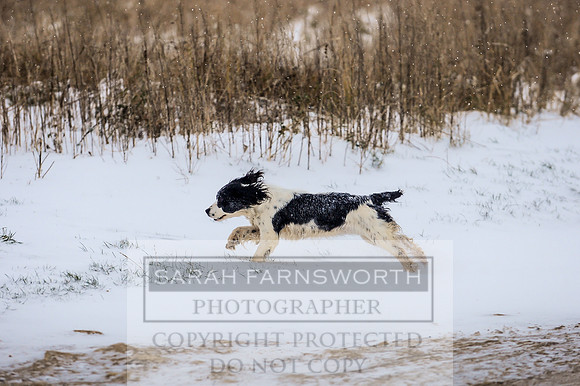 Snow day at Northwick-30