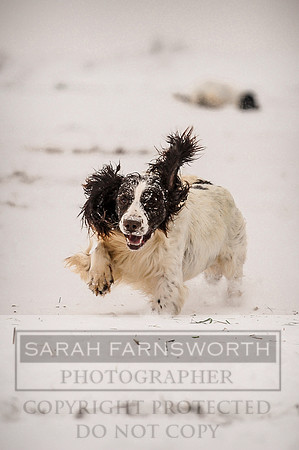 Snow day at Northwick-28