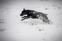 Snow day at Northwick-6