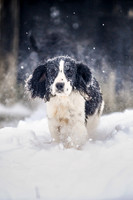 Snow day at Northwick-18