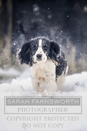 Snow day at Northwick-18