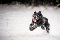 Snow day at Northwick-15