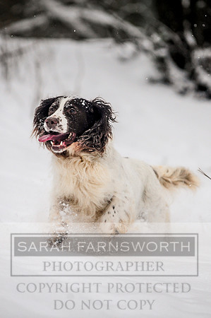 Snow day at Northwick-17