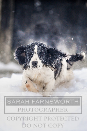 Snow day at Northwick-19