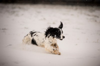 Snow day at Northwick-4