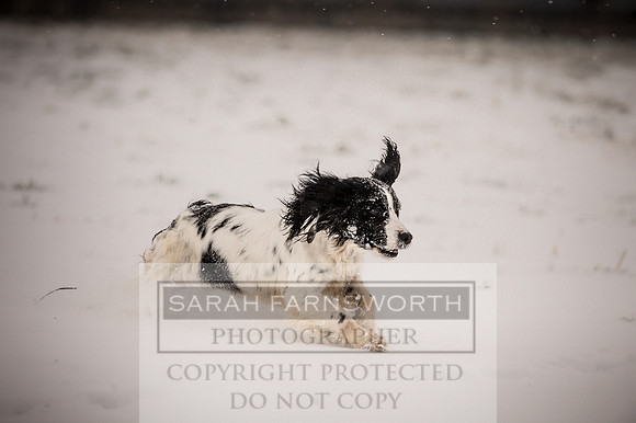Snow day at Northwick-4