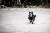 Snow day at Northwick-13