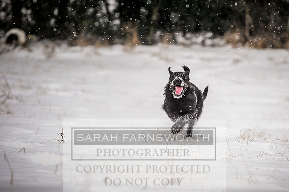 Snow day at Northwick-13