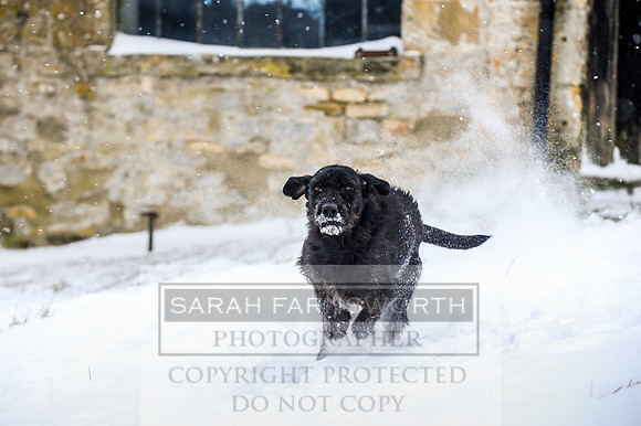 Snow day at Northwick-31