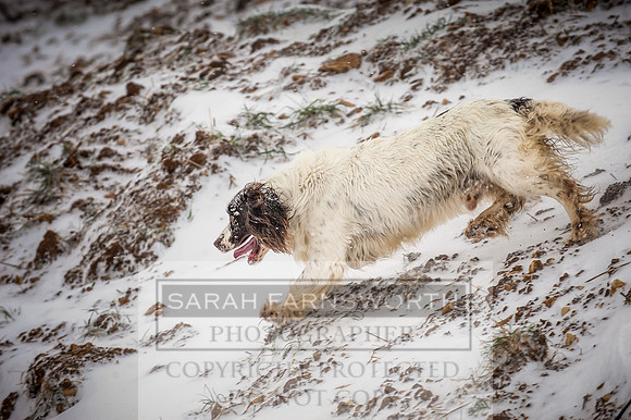 Snow day at Northwick-8