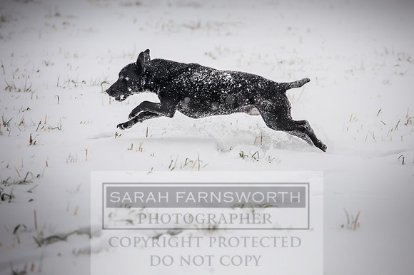Snow day at Northwick-7
