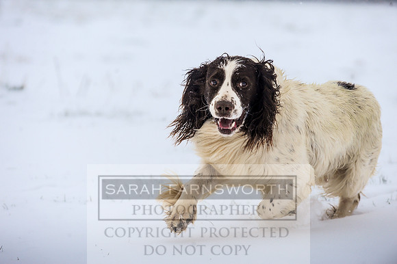 Snow day at Northwick-29
