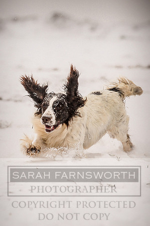 Snow day at Northwick-27