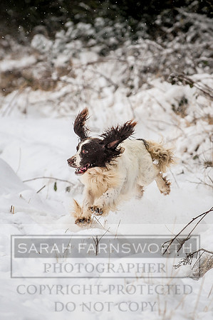 Snow day at Northwick-26