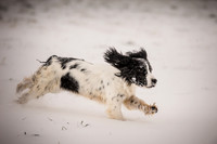 Snow day at Northwick-5
