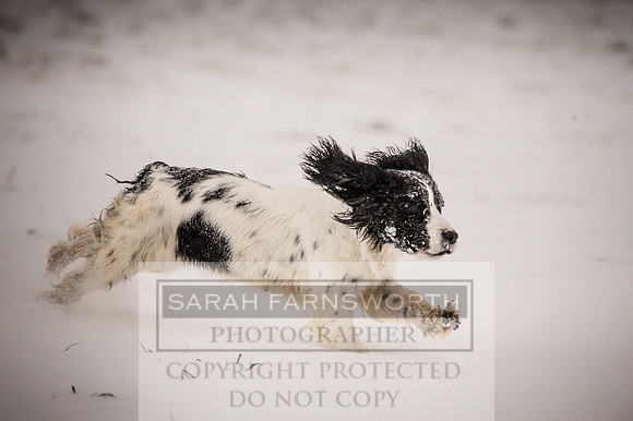 Snow day at Northwick-5