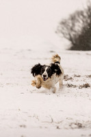 Snow day at Northwick-2
