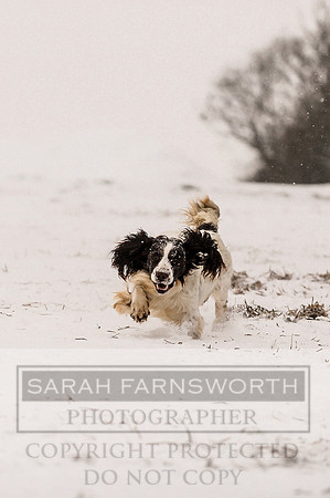 Snow day at Northwick-2