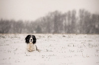 Snow day at Northwick-3