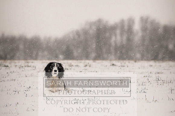 Snow day at Northwick-3